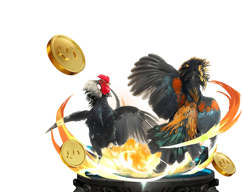 Đá gà cựa sắt